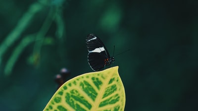 图聚科技